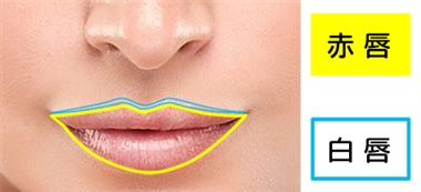 プチ整形 三種の神器！エラ ボトックス+ヒアルロン酸 唇・顎